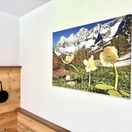 Haus Sonnleitner Dachstein Apartament